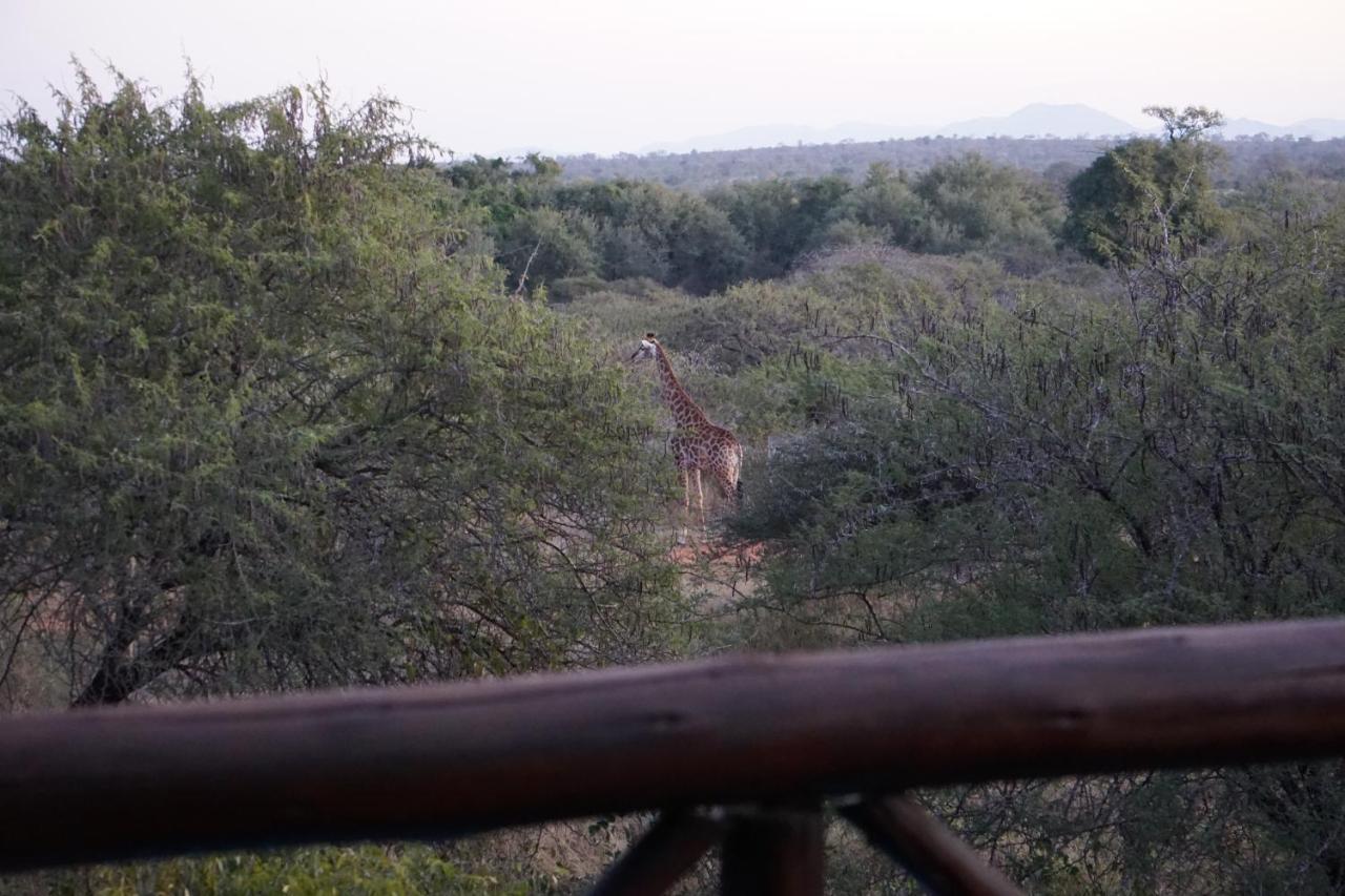 玛洛斯帕克Giraffe Plains别墅 外观 照片